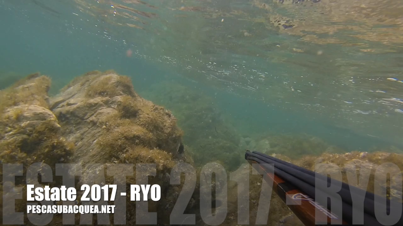 estate-2017-ryo